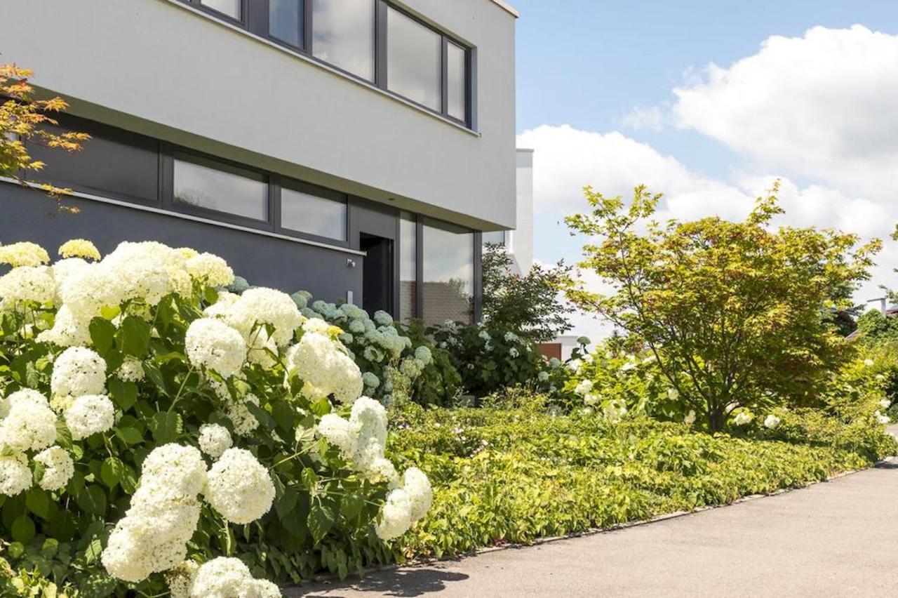 Mettnau-apartment *